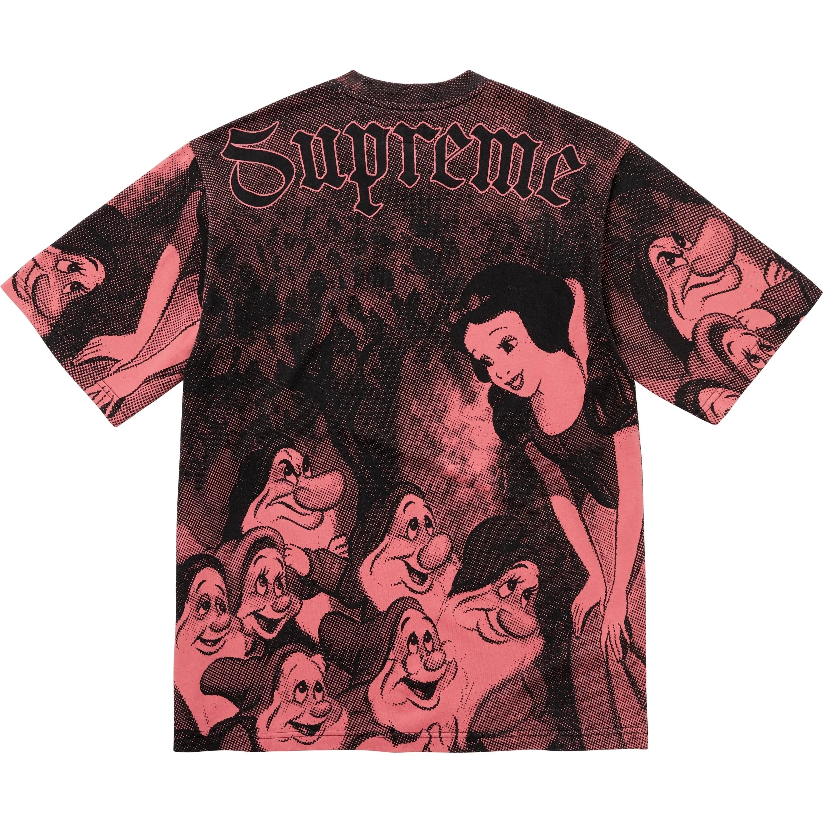 Snow White S/S Top view 5